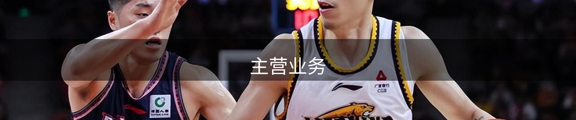 主营业务